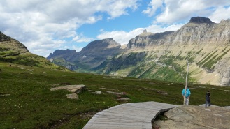 Alpine meadow is protected by boardwalks in sensitive areas